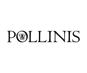 Interview P Rustin à Pollinis